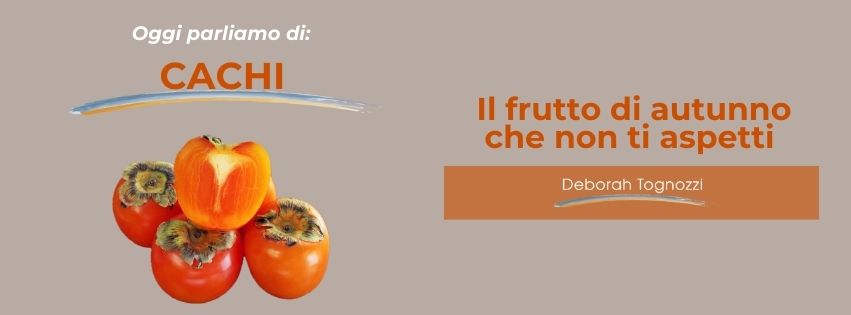 Oggi parliamo di…cachi