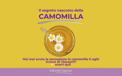 Il segreto nascosto della camomilla