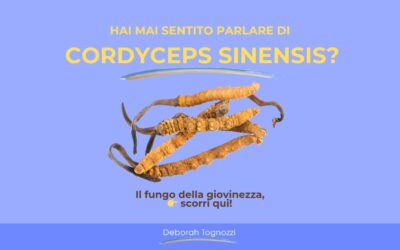 Hai mai sentito parlare di cordyceps sinensis?
